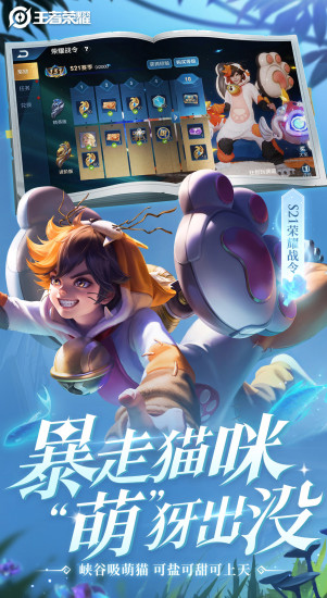 王者荣耀截图3