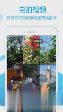 火萤视频壁纸手机版apk软件截图4